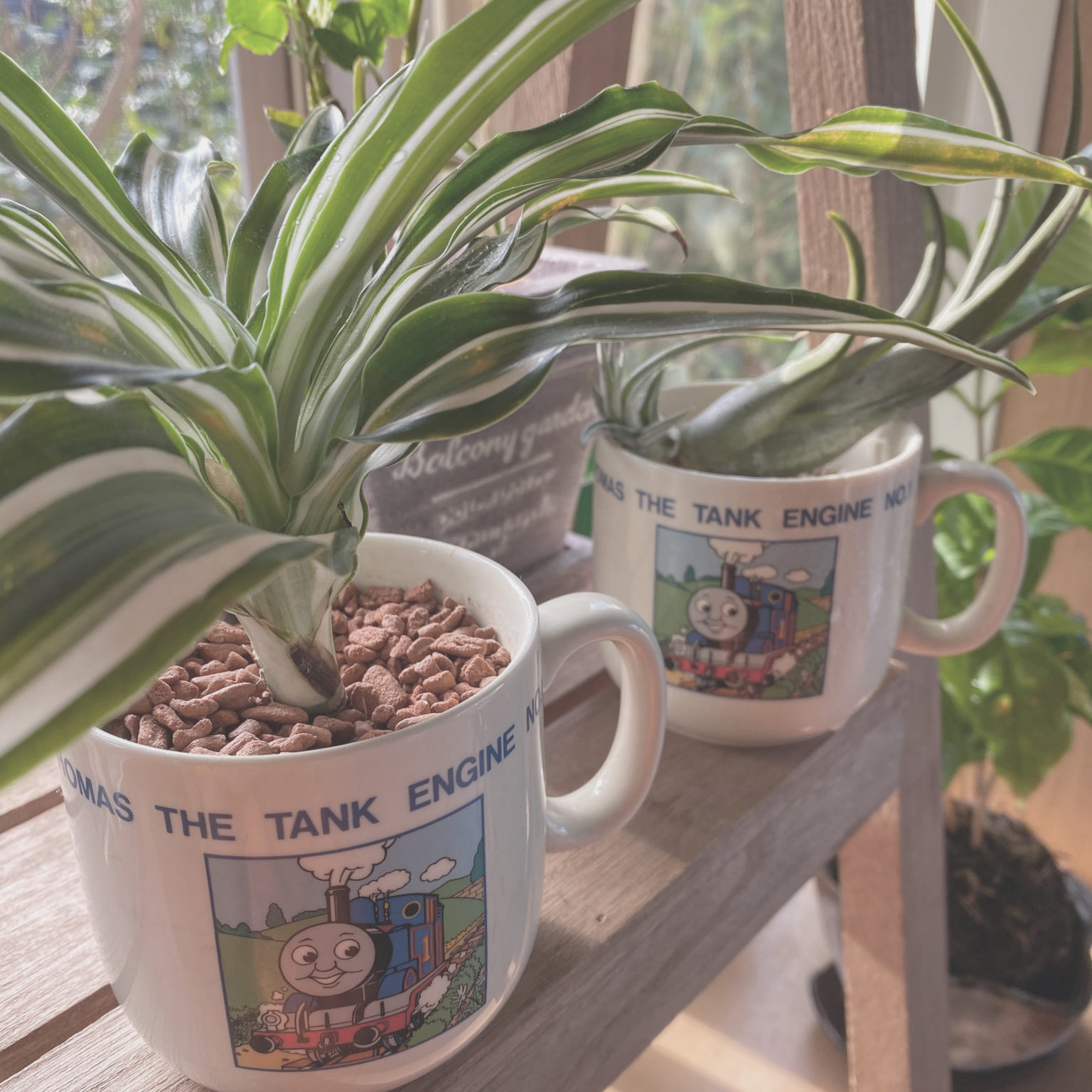 こんまり®︎流片づけコンサルタント池田やよい こんまり®︎流片づけコンサルタント池田やよい