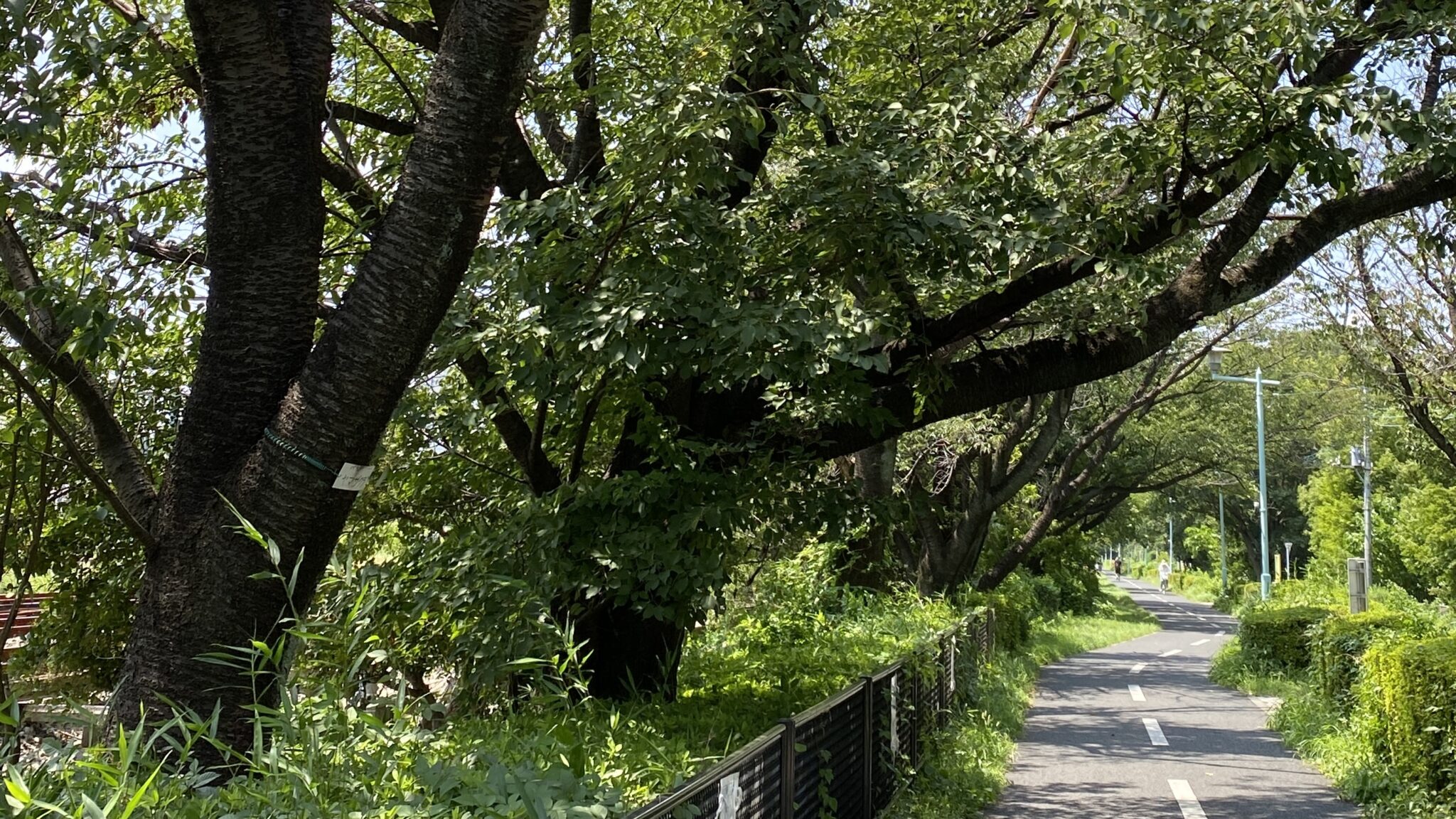こんまり®︎流片づけコンサルタント池田やよい こんまり®︎流片づけコンサルタント池田やよい